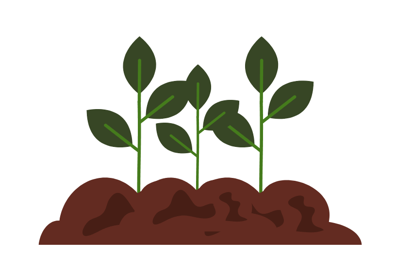 Plantação densa e estratificada